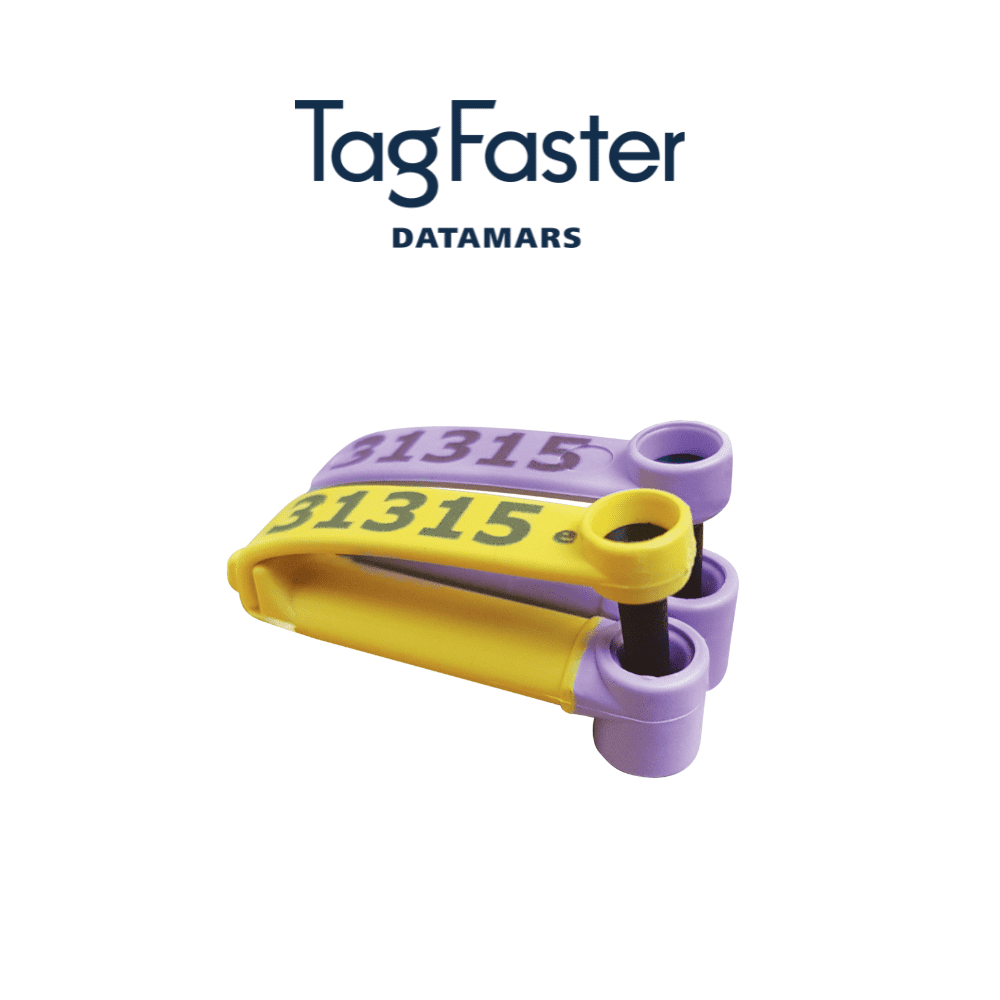 Replacement Sheep Tags | Replace lost or damaged tags in sheep and ...