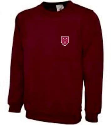 DSLV Infant Sweatshirt