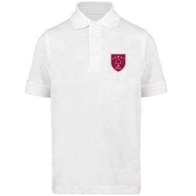 DSLV Polo Shirt