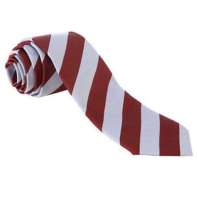DSLV  Senior School Tie