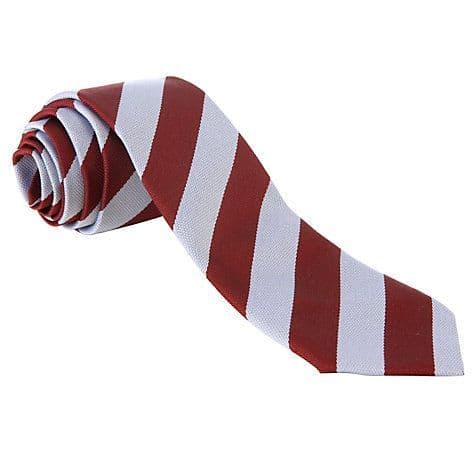 DSLV  Senior School Tie