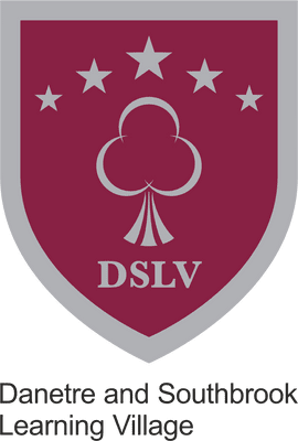 DSLV Seniors Leavers Hoody