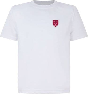 DSLV T-shirt
