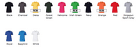 Northants Ovals Ladies Polo Shirt