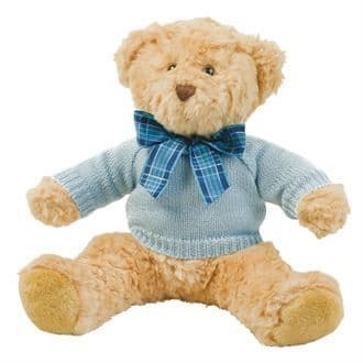 Teddy jumper