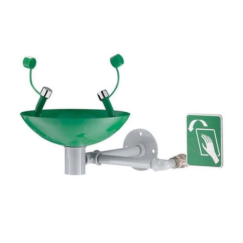 Delabie 9102 Eye Wash Station - Wall-Mounted, Hand-Operated