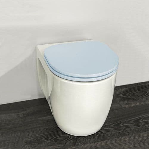 H&L Junior Series Childrens Toilet with Blue Seat