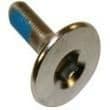 Lemond Crank Retaining Bolt