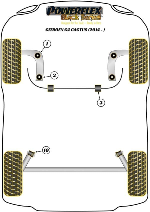 Cactus performance bushes
