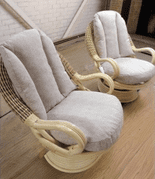 Deluxe Swivel Rockers x2