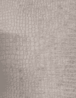 Georgia Package - X2 Chairs ~Plus Side Table & Storage Footstool