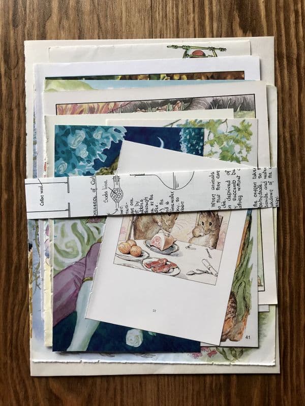 10 Children's Book Pages