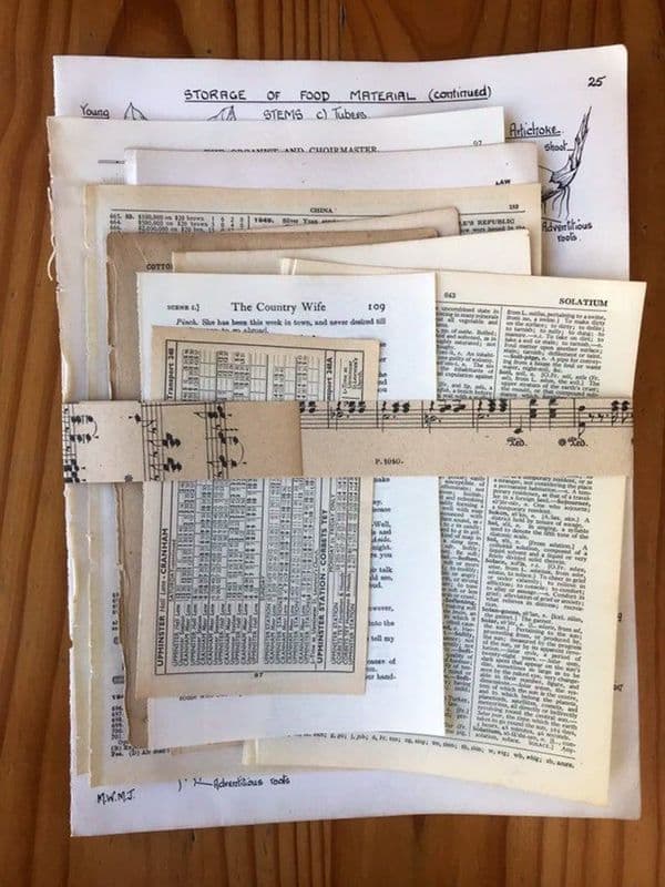 10 Vintage Book Pages