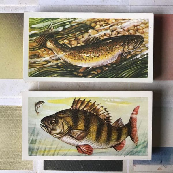 1960 - Freshwater Fish - Brooke Bond - Tea Cards - Full Set