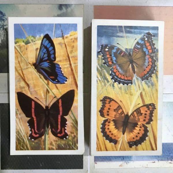 1964 - Butterflies of the World- Brooke Bond - Tea Cards - Full Set