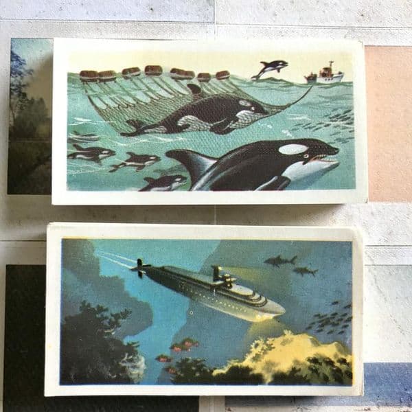 1974 - The Sea Our Other World - Brooke Bond - Tea Cards, Full Set