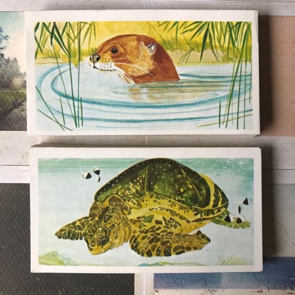 1978 - Vanishing Wildlife - Brooke Bond - Tea Cards - Full Set