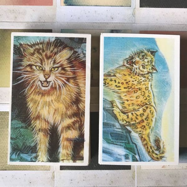1994 Going Wild - Brooke Bond - Tea Cards - Full Set