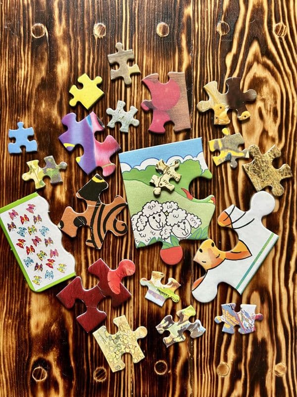 20 Assorted Jigsaw Pieces