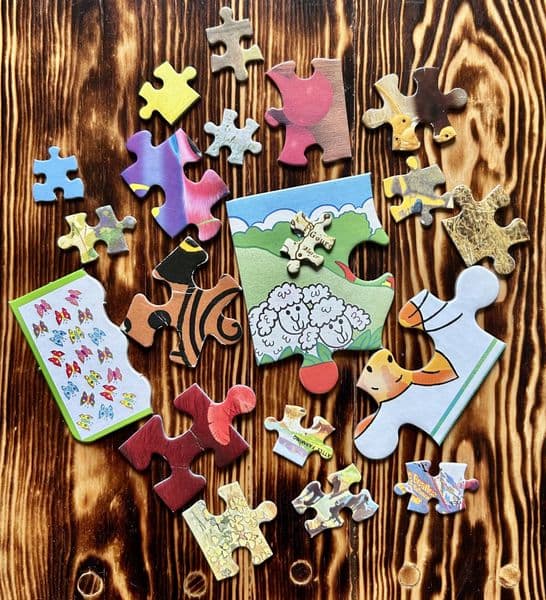 20 Assorted Jigsaw Pieces