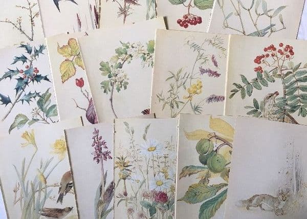 5 Nature Notes of an Edwardian Lady - Book Pages