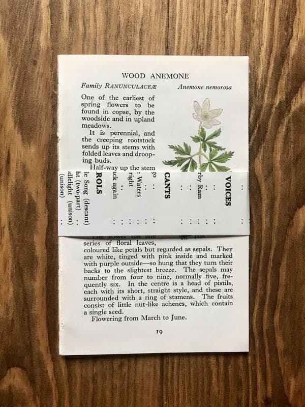 5 - Observer Wild Flowers Book Pages