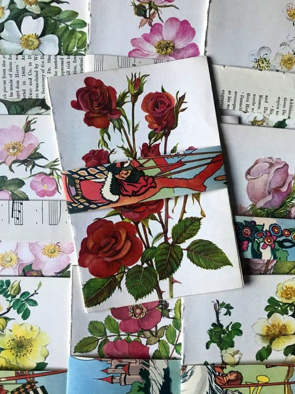 5 - Roses Book Pages