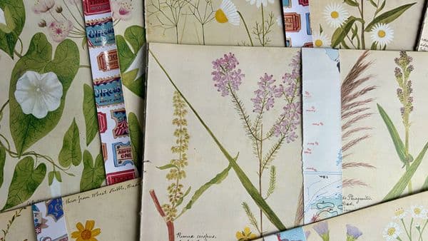 5 Victorian Flower Album  Book Pages