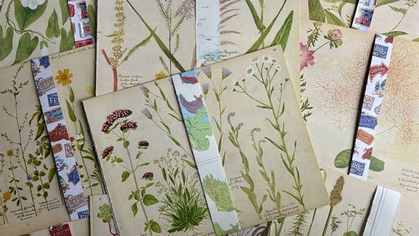 5 Victorian Flower Album Book Pages