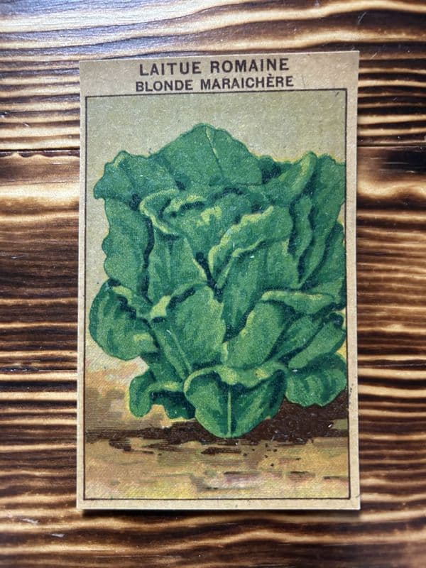 5 Vintage French Seed Packet Labels