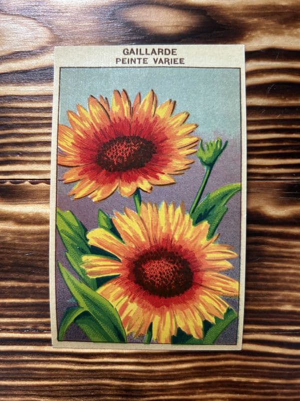 5 Vintage French Seed Packet Labels