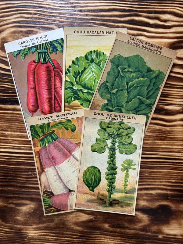 5 Vintage French Seed Packet Labels