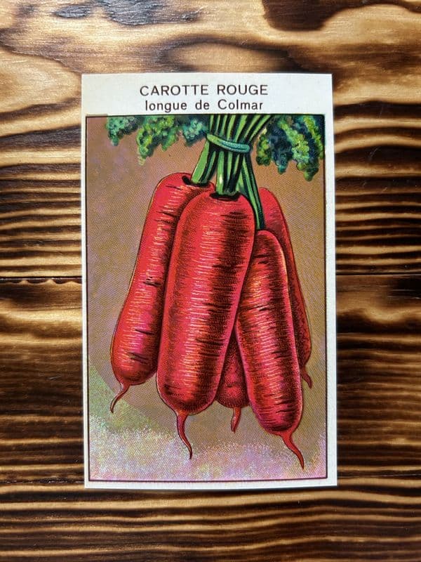 5 Vintage French Seed Packet Labels