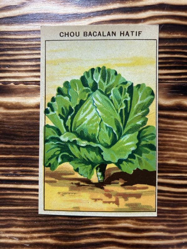 5 Vintage French Seed Packet Labels