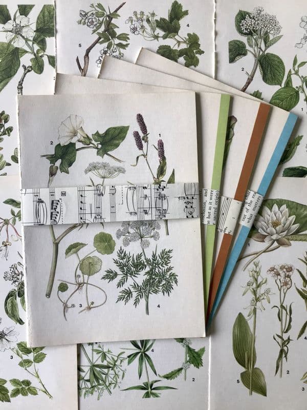 5 Wild Flowers Book Pages