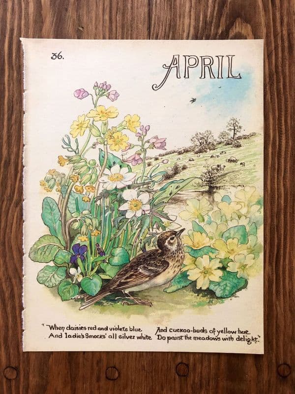 April - Country Diary of an Edwardian Lady - Book Page