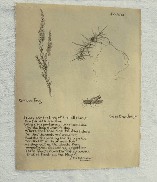 August - Nature Notes of an Edwardian Lady - Book Page