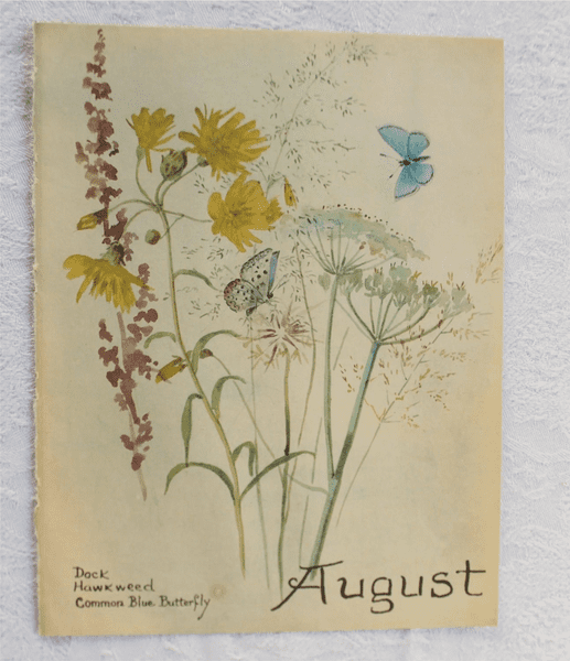 August - Nature Notes of an Edwardian Lady - Book Page