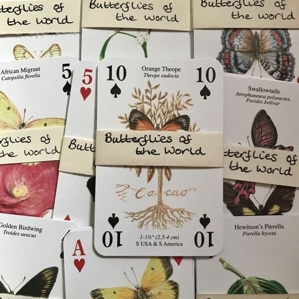 Butterflies Of the World - 5 Playing Cards