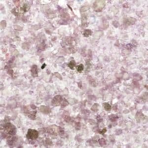 Cosmic Shimmer Mica Flakes Fuchsia