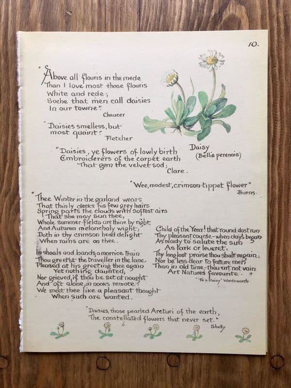 Country Diary - Mainly Text - 10 Vintage Book Pages