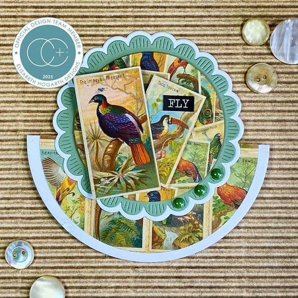 Craft Consortium - Ephemera - Birds - The Collector