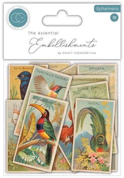 Craft Consortium - Ephemera - Birds - The Collector