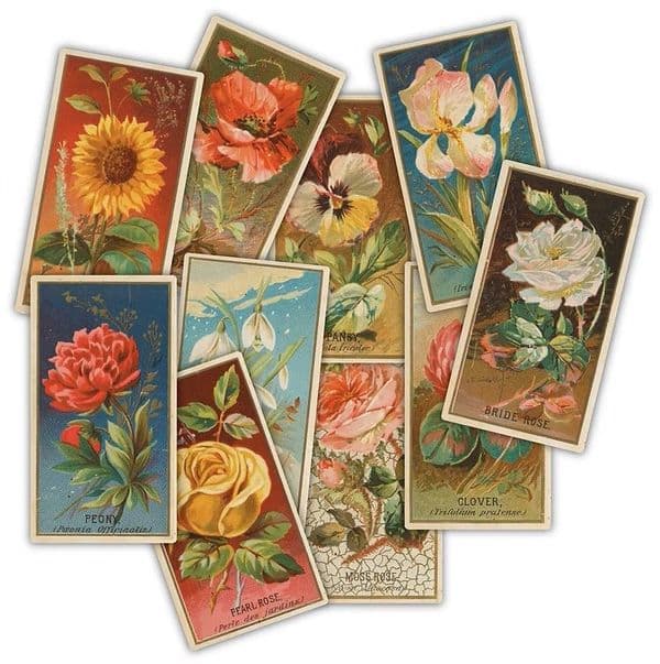 Craft Consortium - Ephemera - Flowers - The Collector