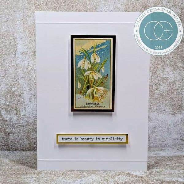 Craft Consortium - Ephemera - Flowers - The Collector