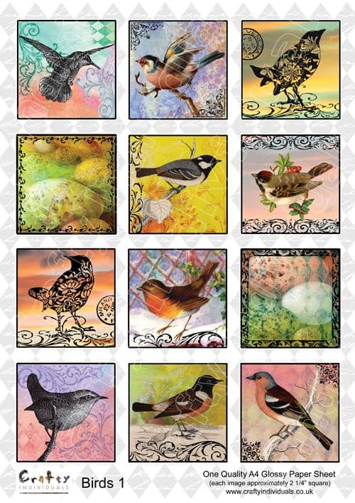 Crafty Individuals Birds 1 Collage Sheet