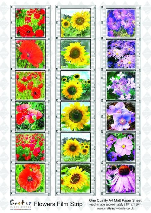Crafty Individuals Flowers Film Strip Collage Sheet