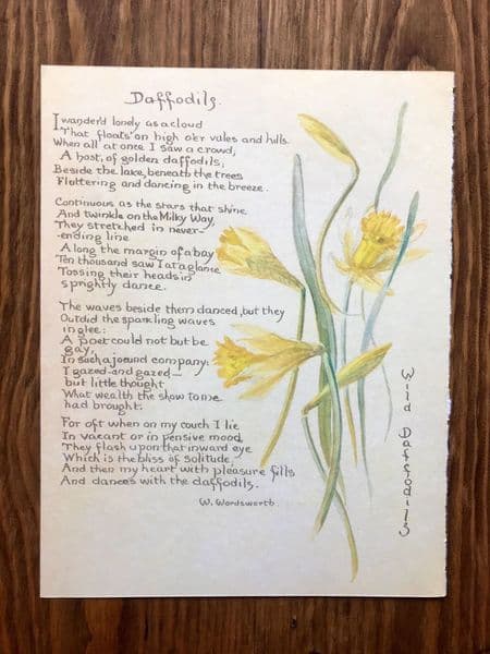 Daffodils - Nature Notes of an Edwardian Lady - Book Page
