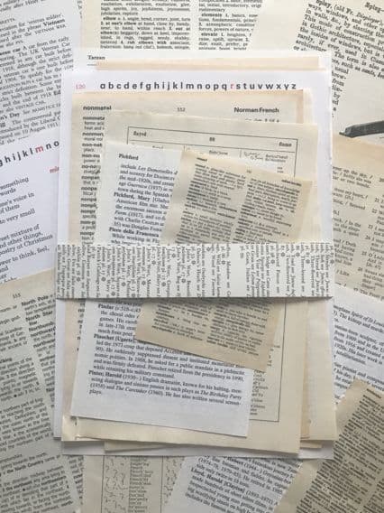 Dictionaries -10 Assorted Book Pages