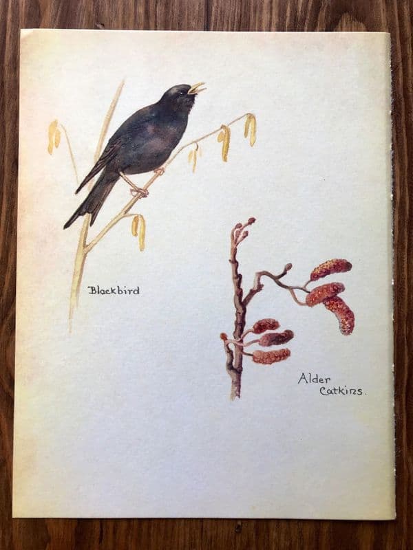February - Nature Notes of an Edwardian Lady - Book Page